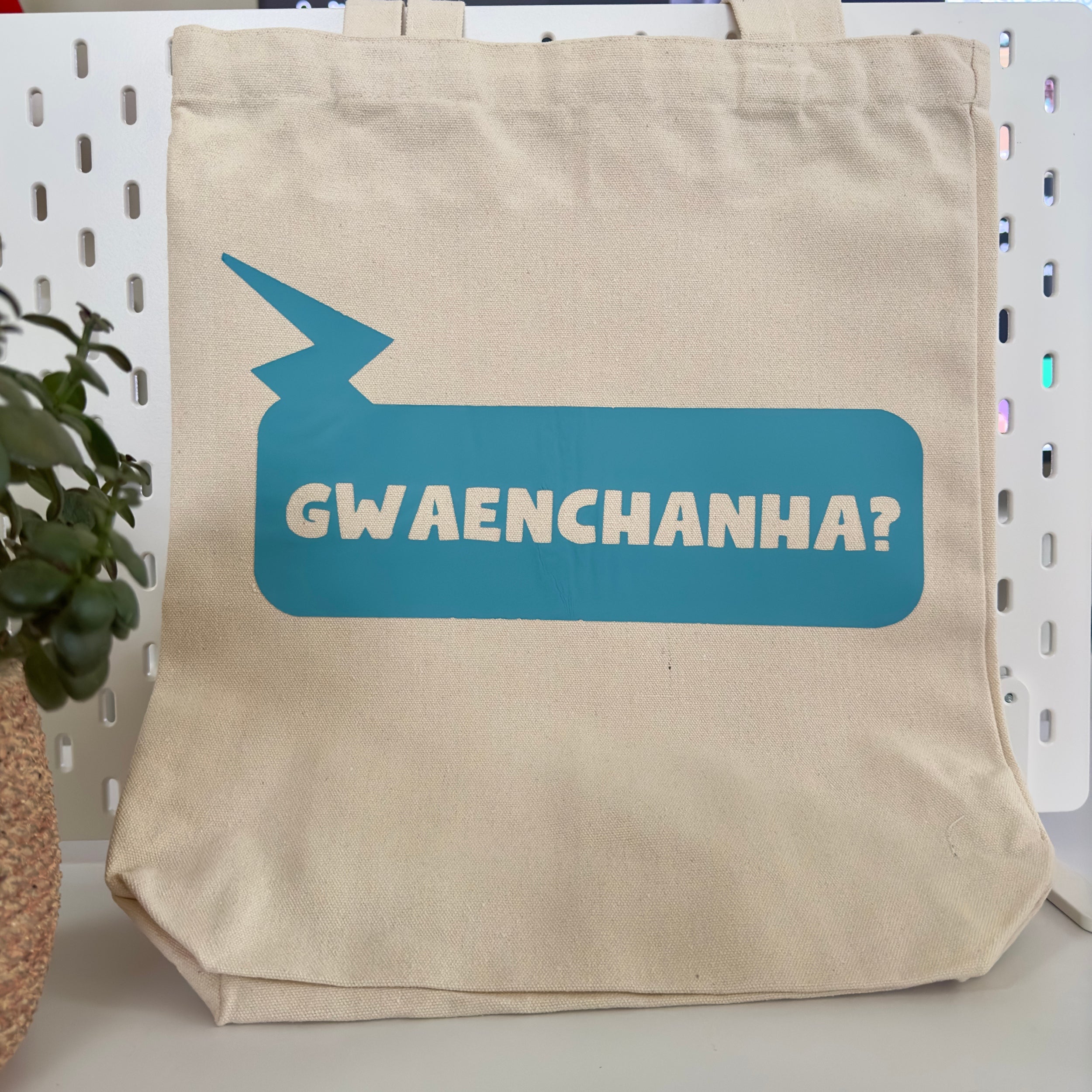 Cha Eun Woo Kdrama Tote Bag a Perfect Gift for Kdrama Fan, Friends That Are  Kpop or K Drama Addicts True Beauty Gangnam Beauty - Etsy